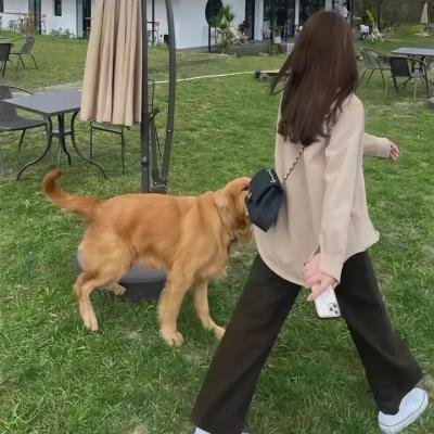 兔子陷阱