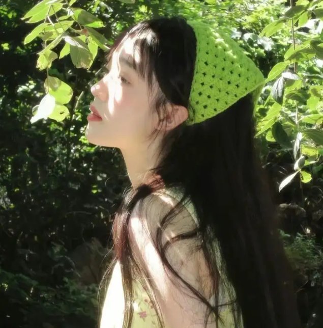圣诞佳丽