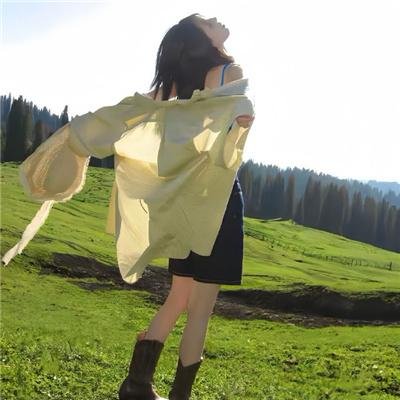 飞机总动员2：打火英雄